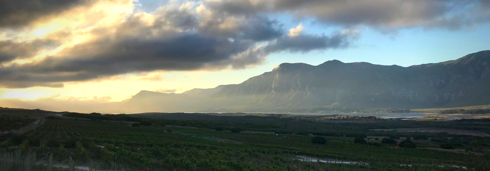 Springfontein-IG-Hermanus-Western-Cape