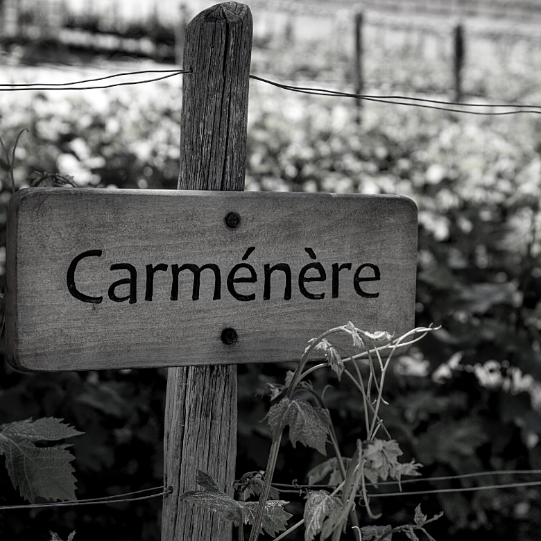 carménère