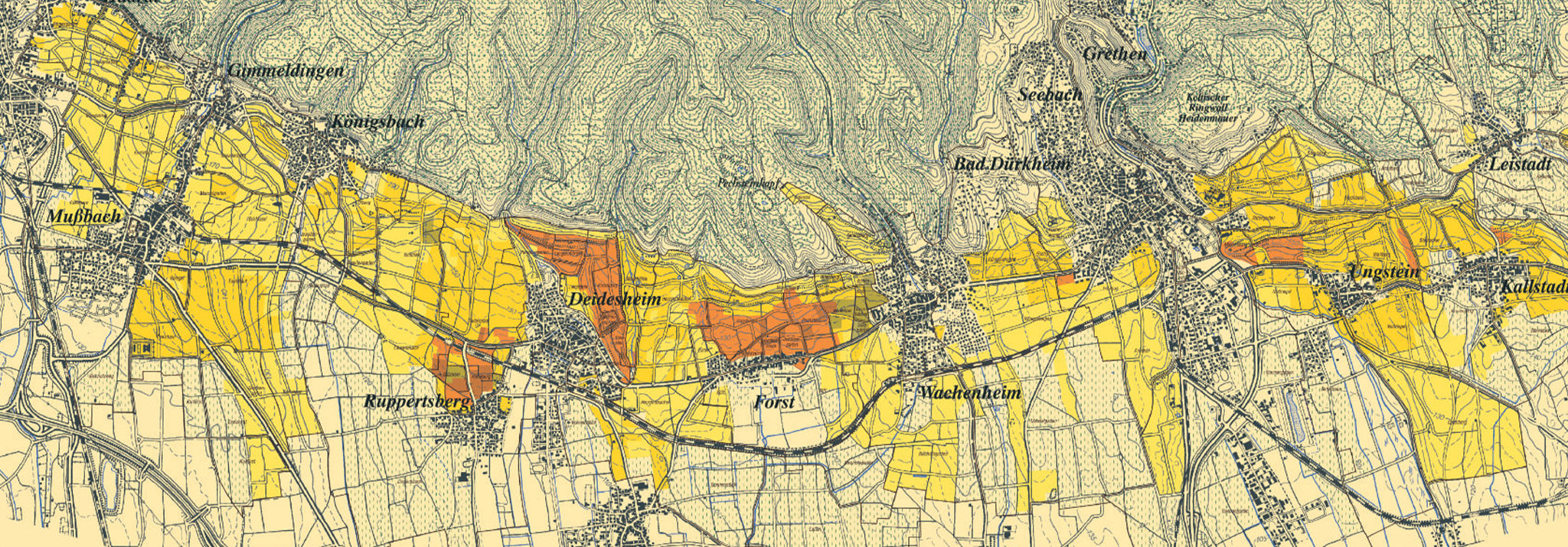 Vineyard-Map-Buerklin-wolf-biodyvin-demeter-palatinat-germany-riesling