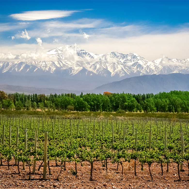 argentine-mendoza-valle-de-uco