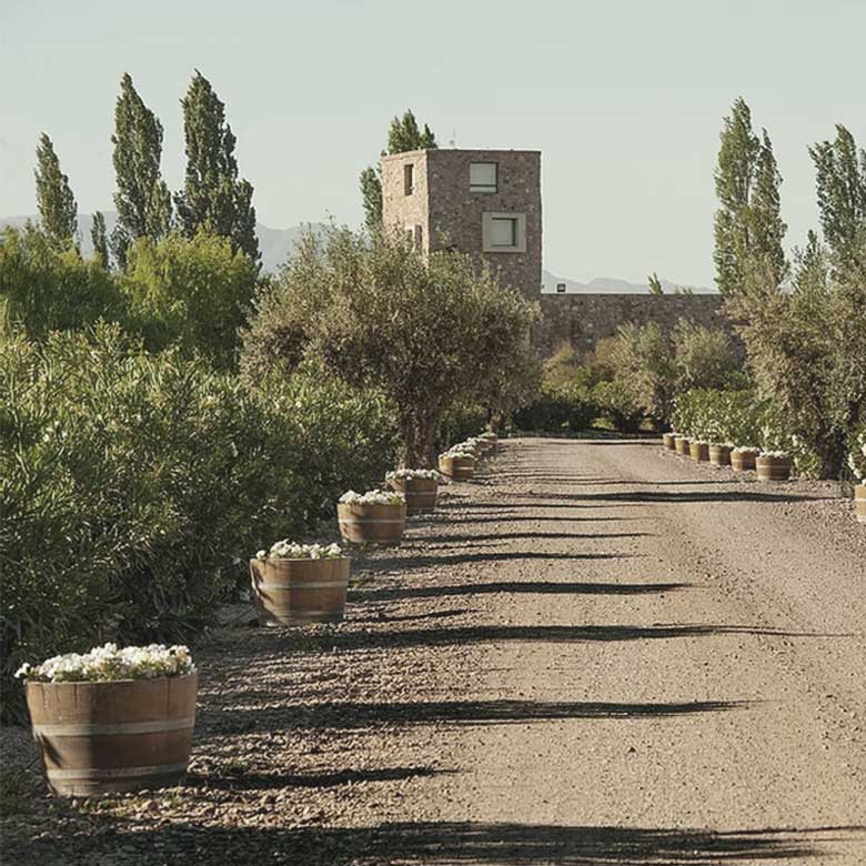 bodega-renacer-mendoza-lujan-cuyo-argentine-domaine-cave