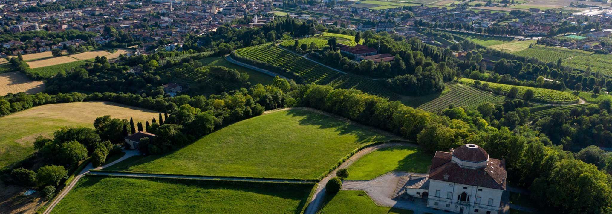 cantina-riondo-paysage-domaine-vénétie-italie