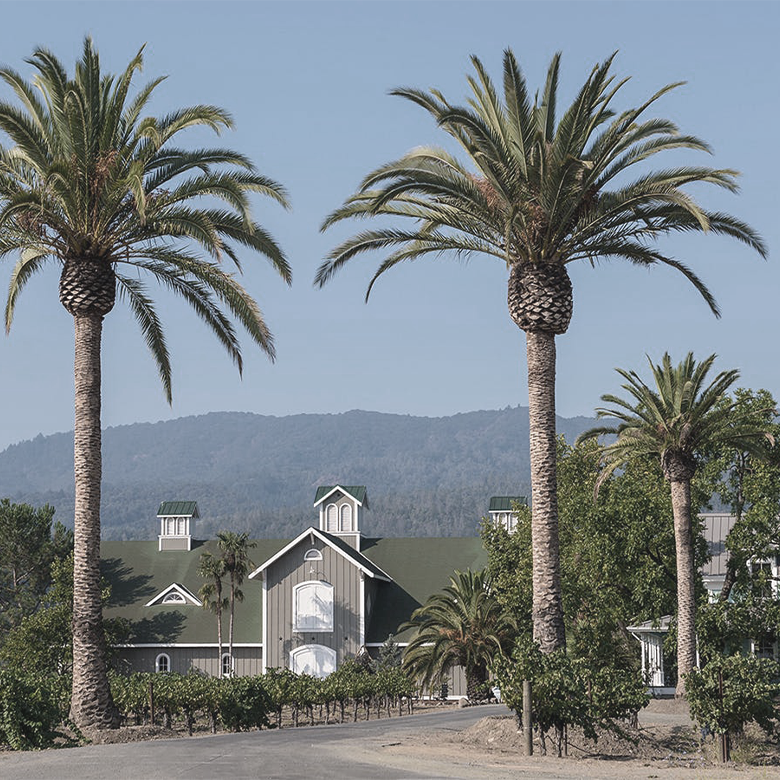 corison-vinyard-napa-valley-cabernet-sauvignon-warehouse