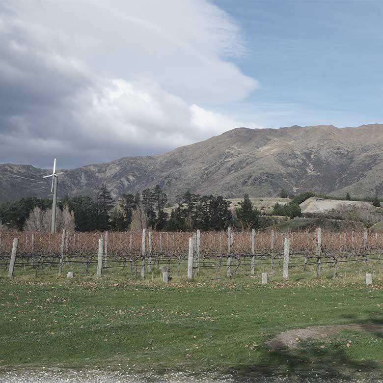 gibbston-peregrine-estate-winery-central-otago-pinot-noir-sauvignon-blanc-riesling-new-zealand