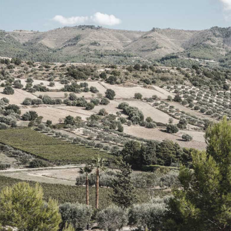 gulfi-cantina-nero-d-avola-wine-sicily-sicilia-italia