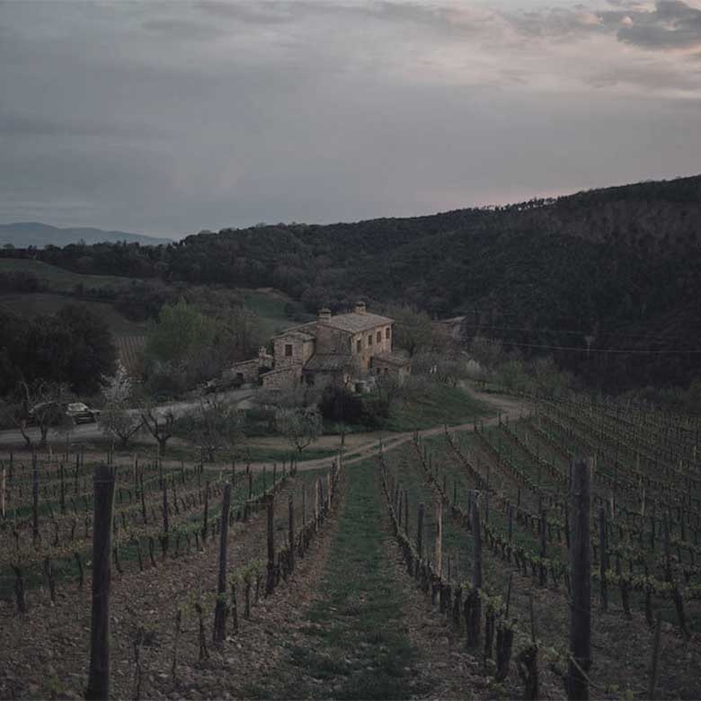 house-podere-salicutti-wines-toscane-italia-sangiovese
