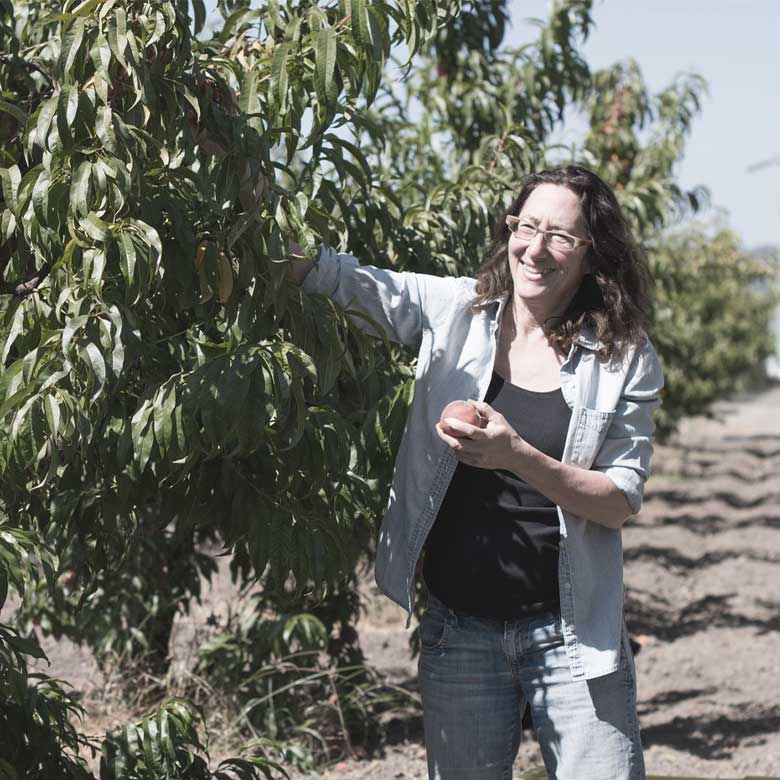 jill-klein-matthiasson-napa-valley-ava-wine-usa-new-californian-winemaker