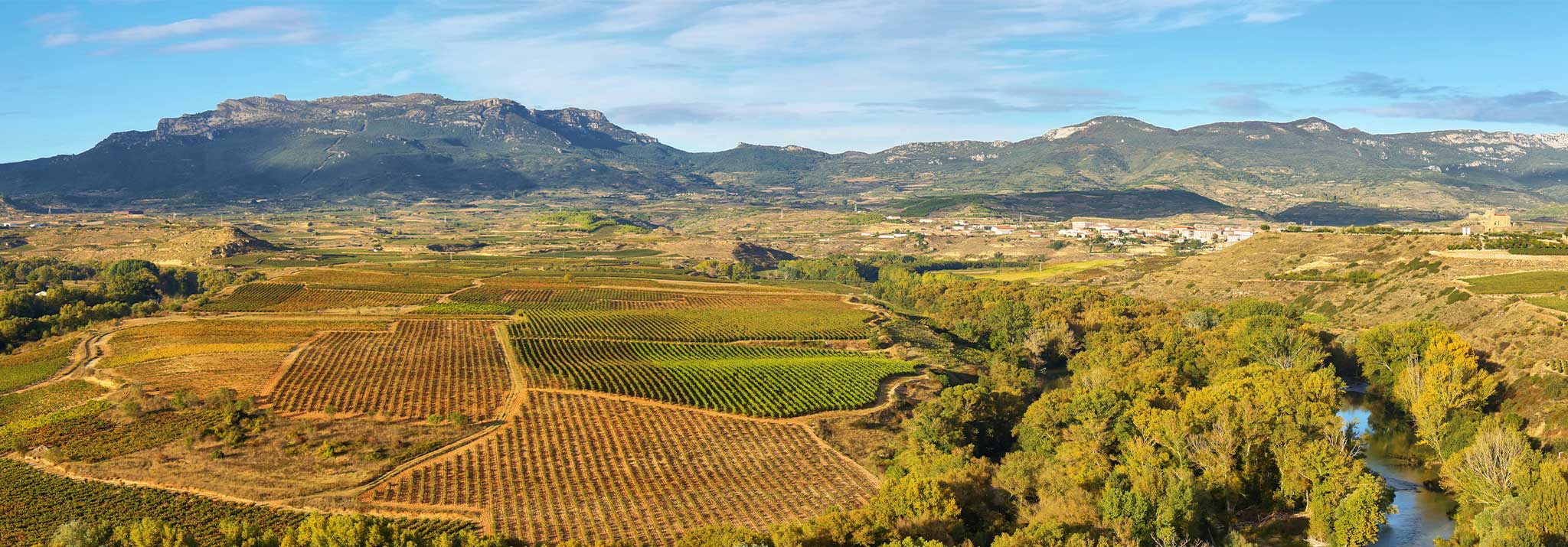 landscape-with-vineyards-at-la-rioja-spain-rioja-alta
