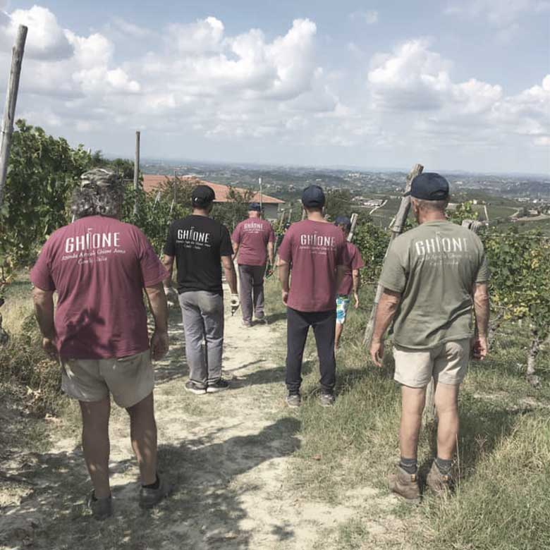 manual-harvest-canelli-ghione-moscato-asti-italy