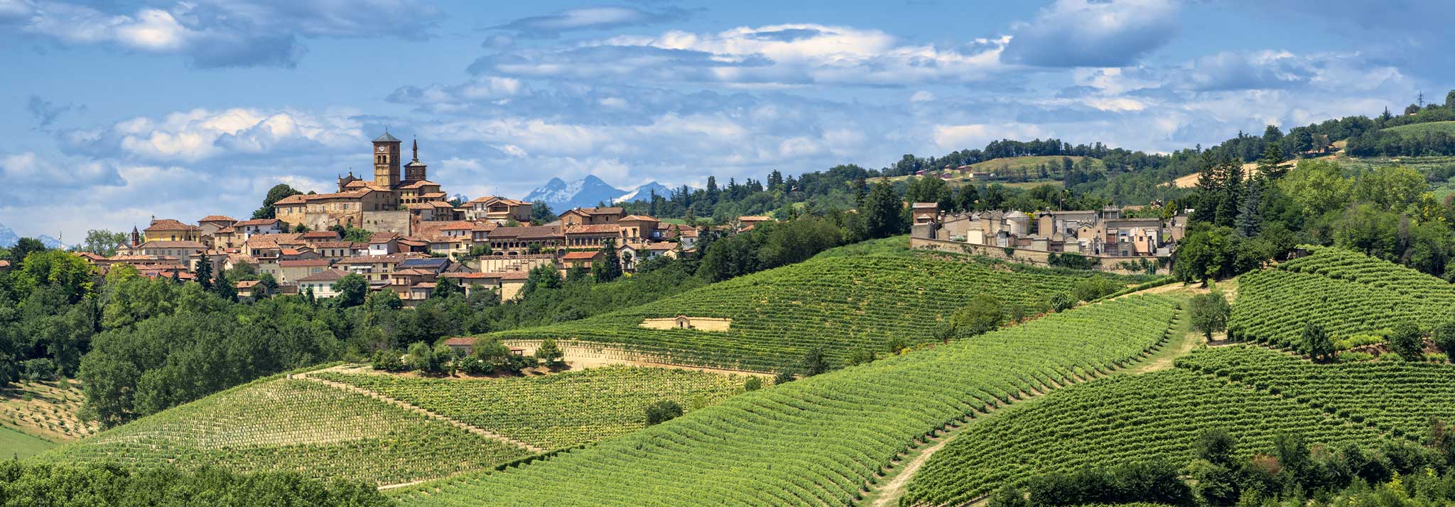 monferrato-italy-landscape-gaudio-wine-barbera