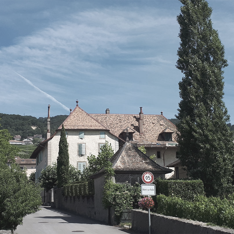 mont-sur-rolle-domaine-maison-blanche-chasselas-suisse-wine