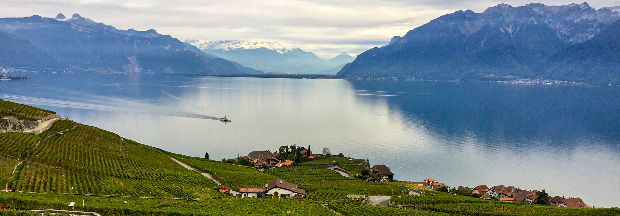 mont-sur-rolle-lac-leman-domaine-maison-blanche-switzerland-wine