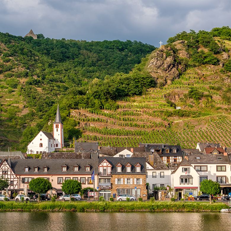 moselle