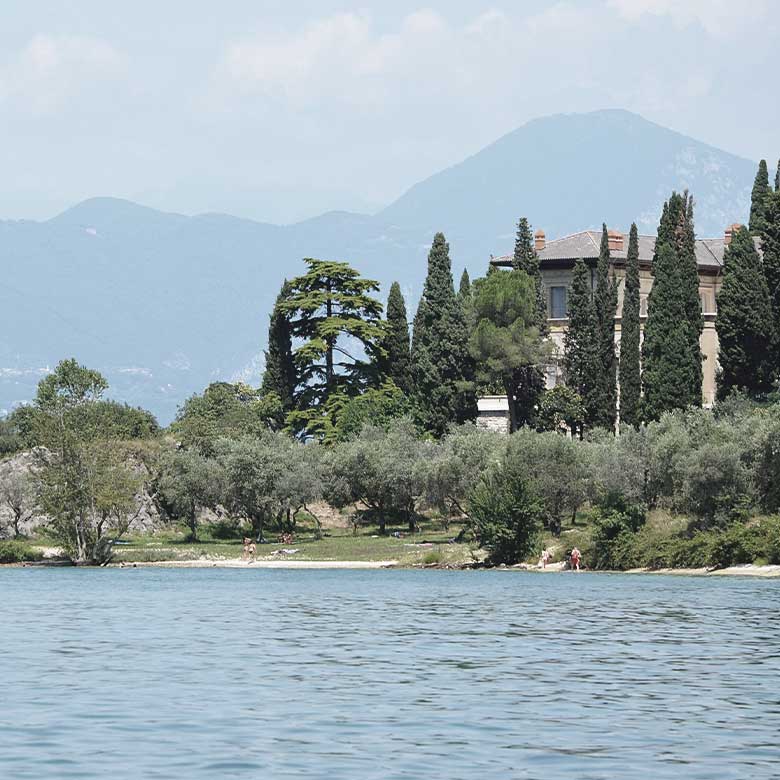 olive-tree-pasini-san-giovanni-lac-di-garda-valtenesi-lugana-organic-wines-italy