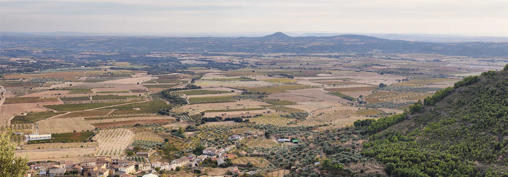 paso-primero-somontano-spanish-wines