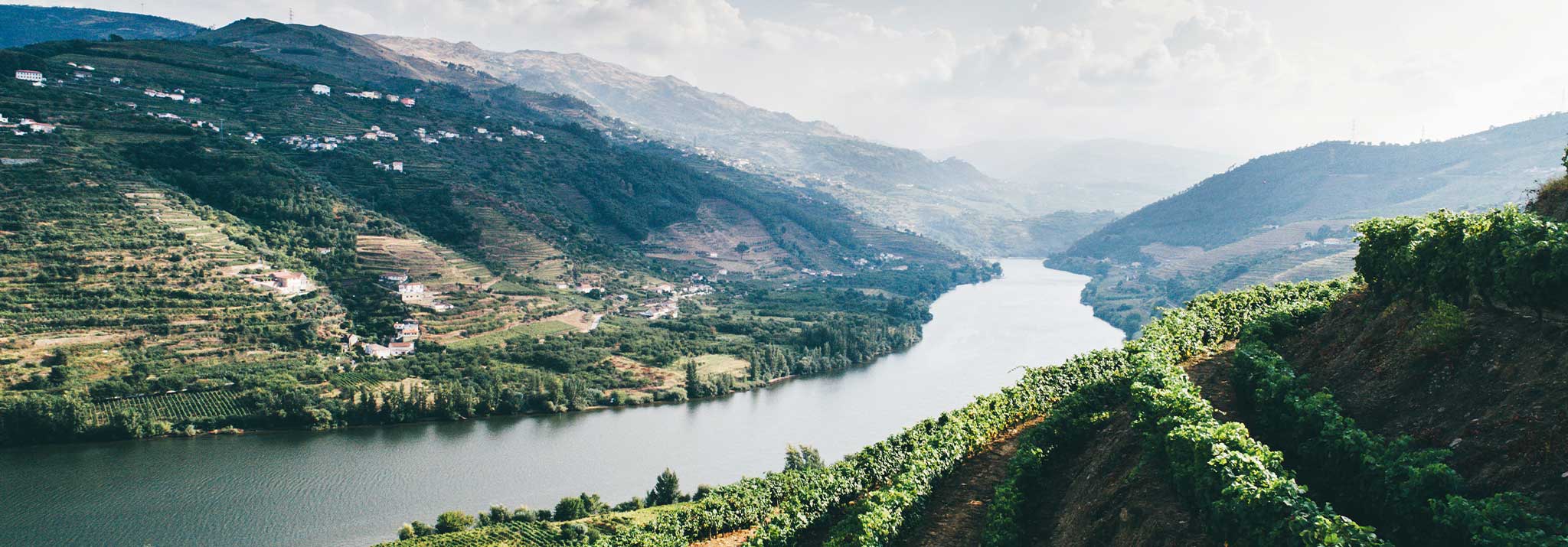 quinta-do-crasto-douro-wines-portugal