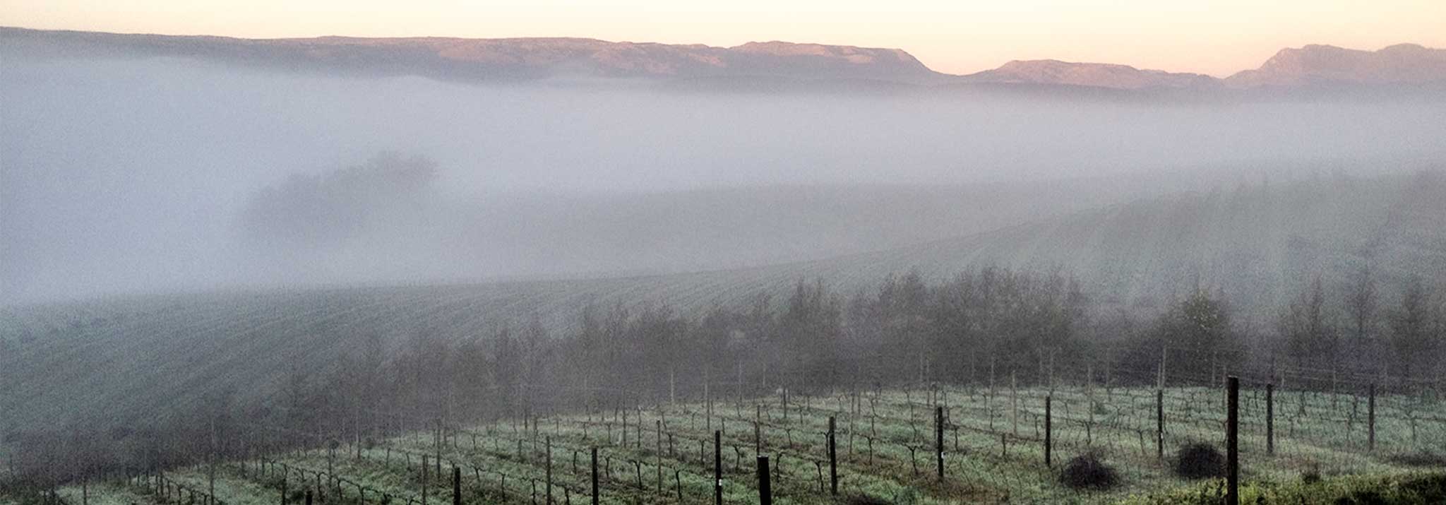 richard-kershaw-paysage-elgin-vallée-afrique-du-sud-brouillard