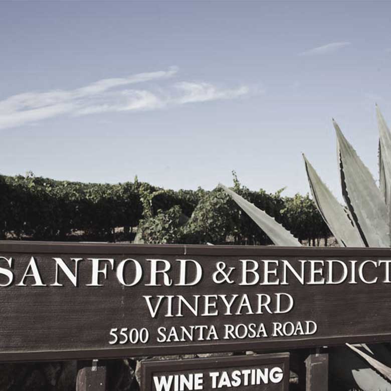 sandhi-wines-california-sanford-benedict-vignoble-payasage