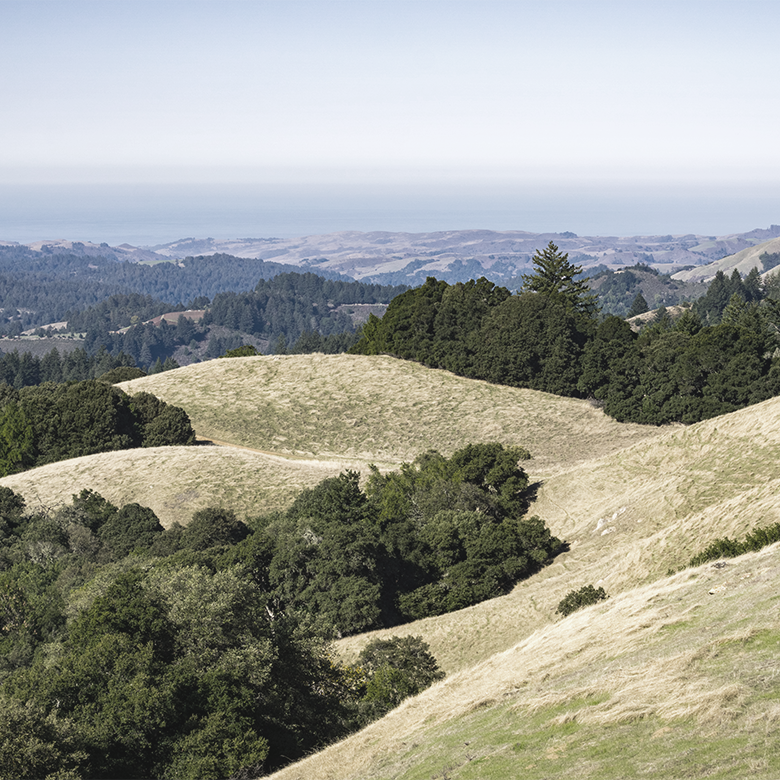 santa-rita-hills-california-rajat-parr-wines