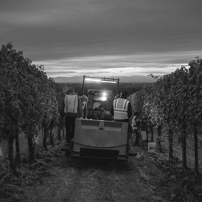 team-evening-land-estate-harvest-oregon