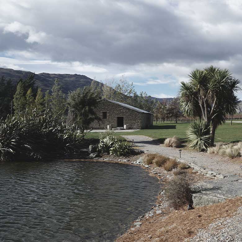 tourist-peregrine-estate-winery-central-otago-pinot-noir-sauvignon-blanc-riesling-new-zealand