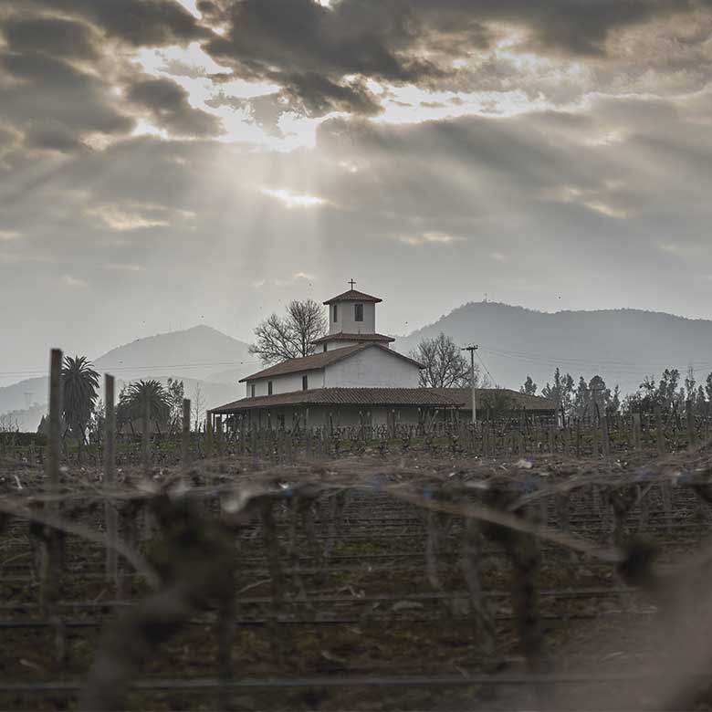 valle-secreto-chili-santiago-paysage-bodega-vignoble-vigne