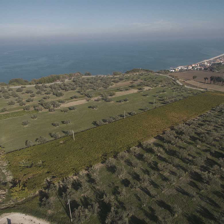 venea-azienda-agricola-venetie-vignoble-abruzzes-mer-paysage