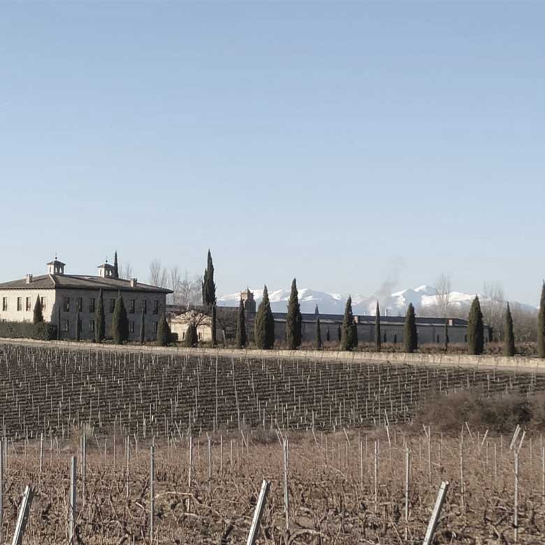 vineyard-and-winery-rioja-alta-red-wines-spain-sustainable-winery