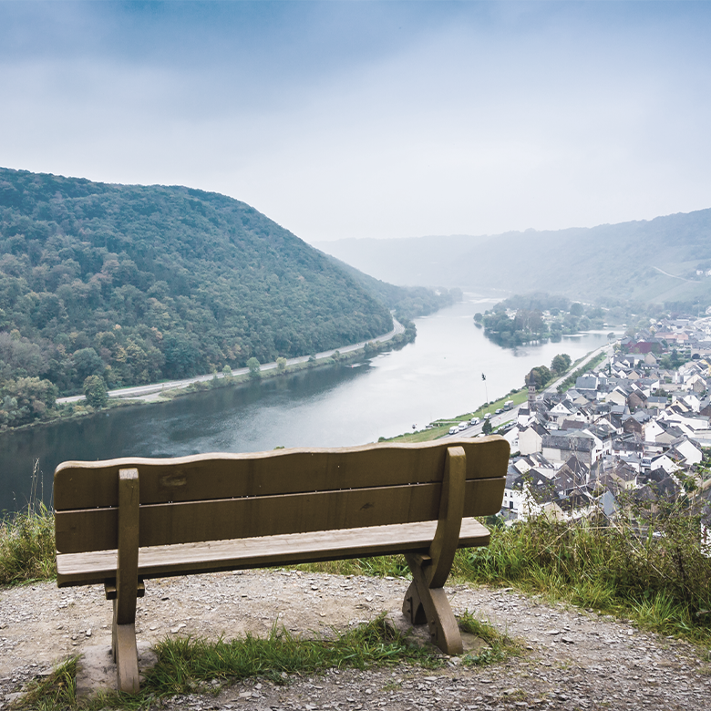 vineyard-moselle-dr-loosen-riesling-germany-ernst-loosen