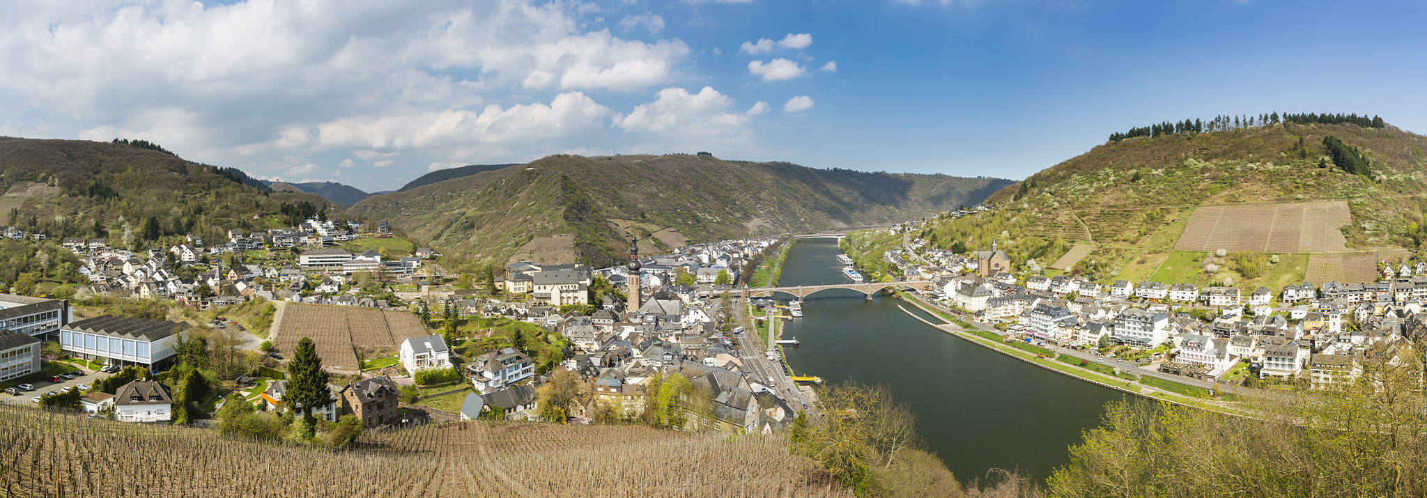 vineyard-moselle-dr-loosen-riesling-germany