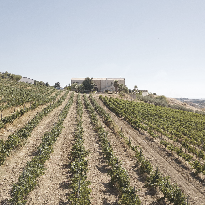 vini-nero-d-avola-sicily-italy