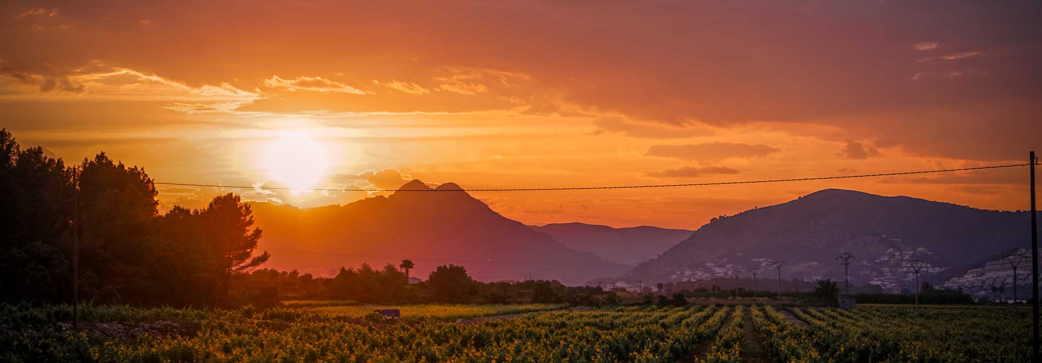 michelini-i-muffato-bierzo-spain-mencia