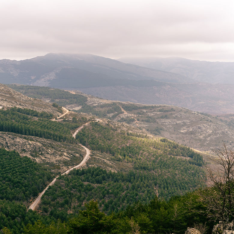 garnacha-sierra-de-gredos-vino-de-montana-peninsula-vinicultores-spain