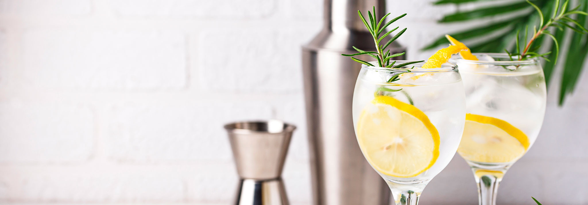 gin-tonic-cocktail-with-lemon-spiritueux