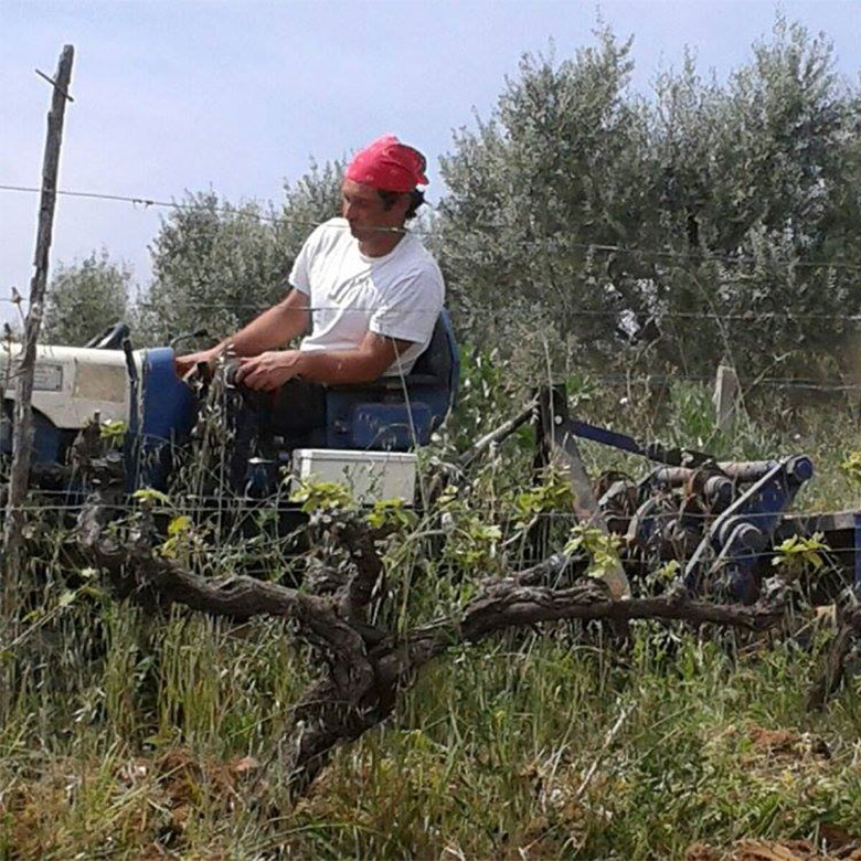 giuseppe-calabrese-vigneron-artisan-terre-di-cosenza-calabria-italia