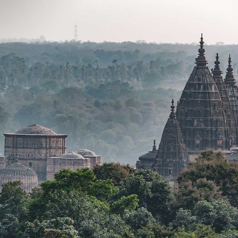 jiji-jin-goia-india